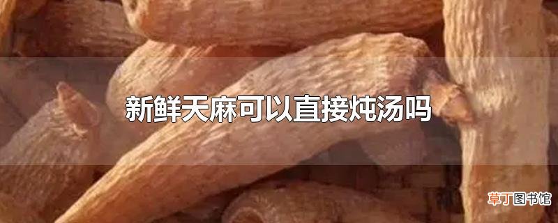 新鲜天麻可以直接炖汤吗