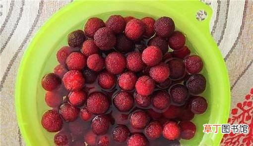 发酵型杨梅酒制作方法