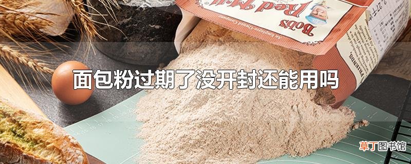 面包粉过期了没开封还能用吗