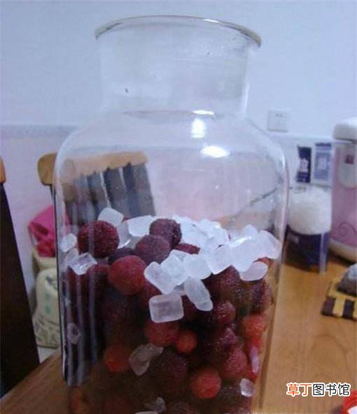 发酵型杨梅酒制作方法