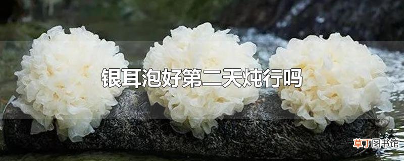 银耳泡好第二天炖行吗