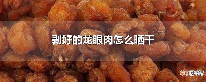 剥好的龙眼肉怎么晒干