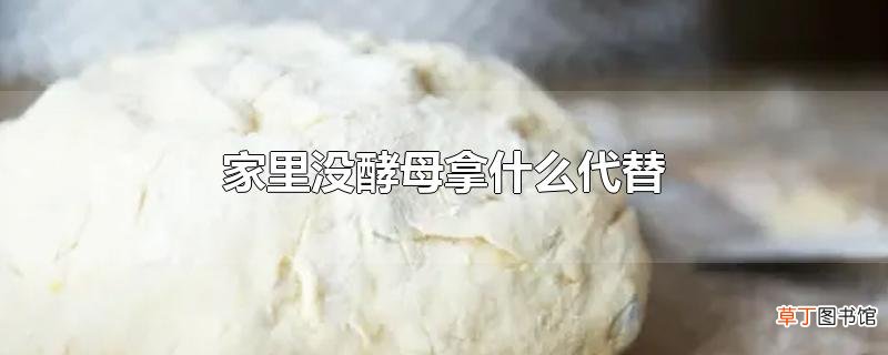 家里没酵母拿什么代替
