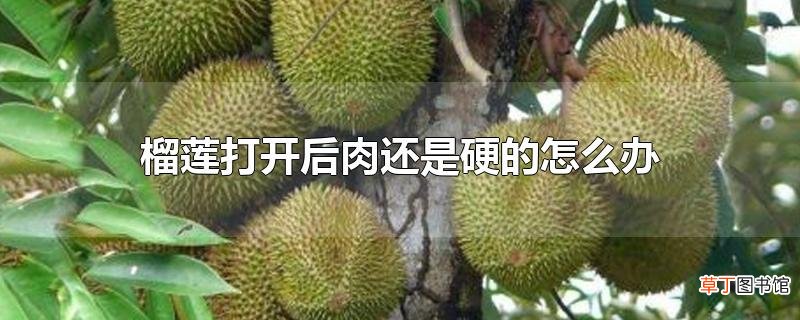 榴莲打开后肉还是硬的怎么办