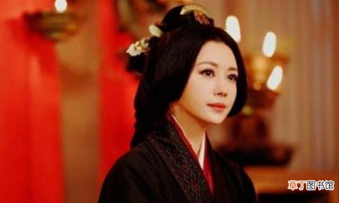 如何评价曹操 诸葛亮有几个儿子