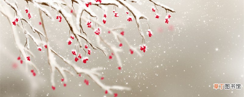 远看就知道那洁白的是梅花不是雪是诗句什么的意思 意思为远看就知道那洁白的是梅花不是雪的是什么诗句