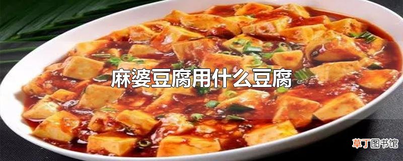 麻婆豆腐用什么豆腐