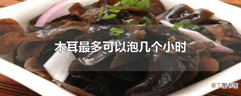 木耳最多可以泡几个小时