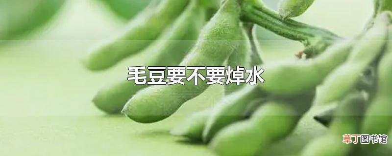 毛豆要不要焯水