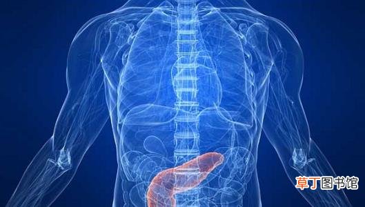 胰腺炎死亡率高达70％ 胰腺炎发病给人体发出的警报