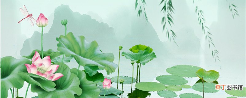 亭亭玉立晚风前,一片清芬透碧天什么意思? 亭亭玉立晚风前,一片清芬透碧天的意思是什么