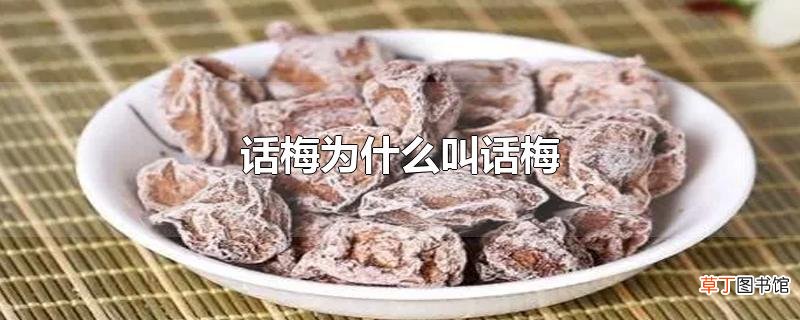 话梅为什么叫话梅