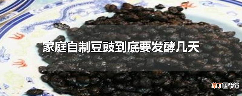 家庭自制豆豉到底要发酵几天