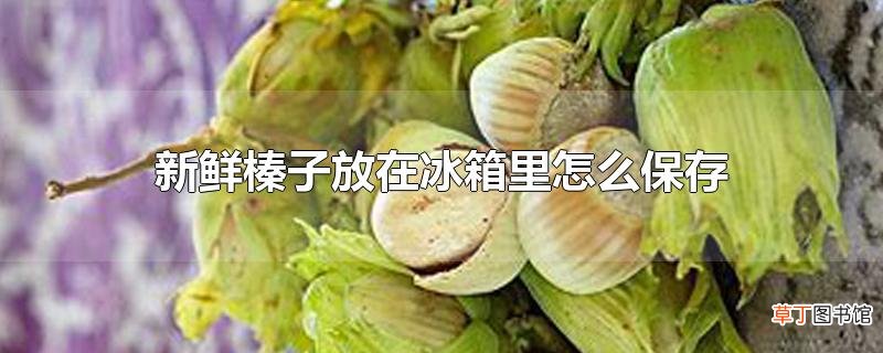 新鲜榛子放在冰箱里怎么保存