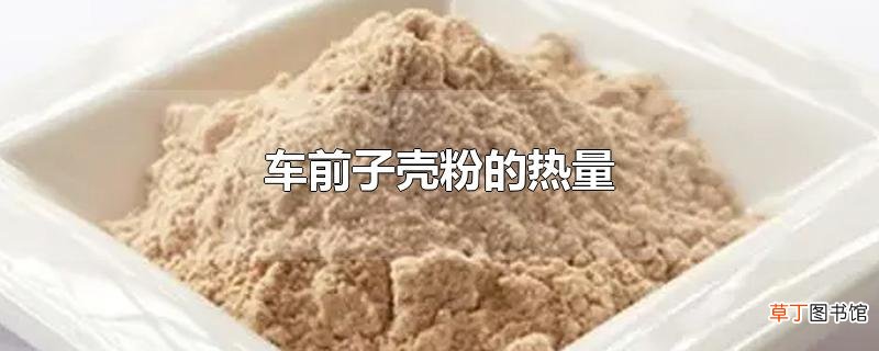车前子壳粉的热量