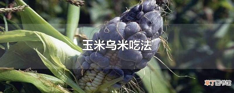 玉米乌米吃法