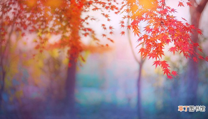 红叶似火是什么季节 红叶似火描写的是什么季节