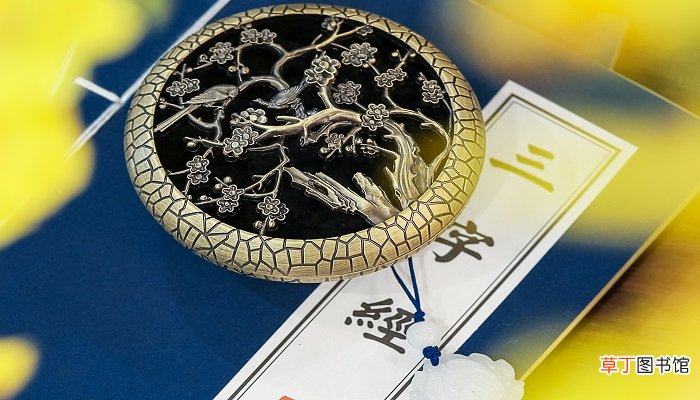 择其善者而从之其不善者而改之意思 择其善者而从之其不善者而改之意思是什么