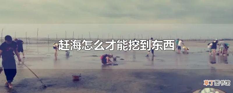 赶海怎么才能挖到东西