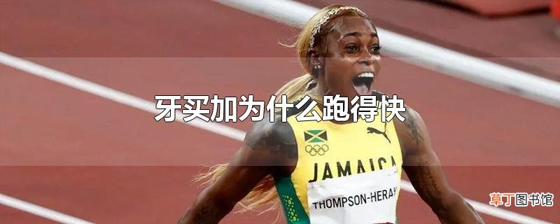 牙买加为什么跑得快