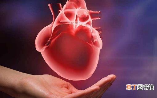 心脏病“偏好”的5类人 心脏最喜欢的食物