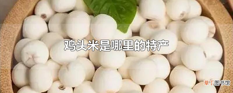 鸡头米是哪里的特产