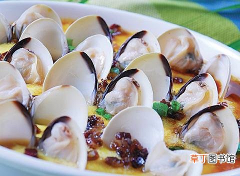 蛤蜊如何吐沙更干净?蛤蜊吐沙的小窍门