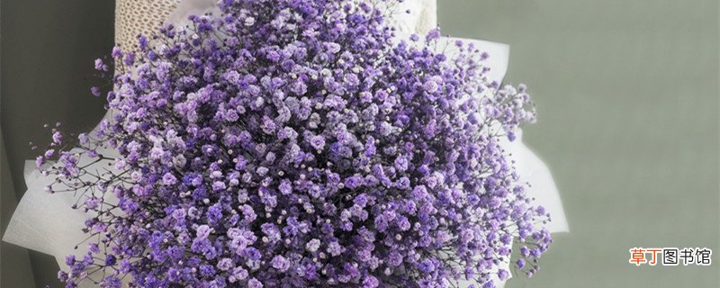 自己生日发朋友圈的经典句子 自己生日发朋友圈的经典句子有哪些