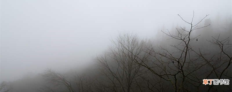 雾锁山头山锁雾天连水尾水连天什么意思 雾锁山头山锁雾天连水尾水连天这句话是什么意思