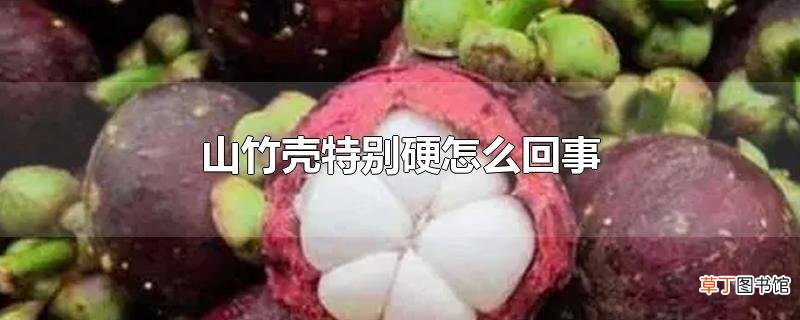 山竹壳特别硬怎么回事