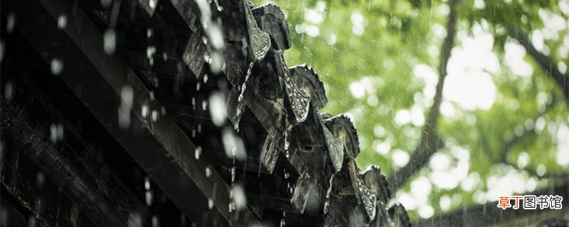 人生哲理的句子经典 人生哲理的句子有哪些