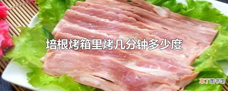 培根烤箱里烤几分钟多少度