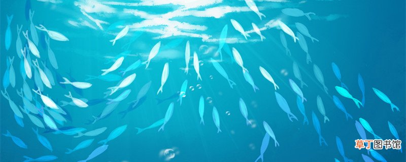 精卫填海在山海经哪一章 精卫填海在山海经哪一章啊