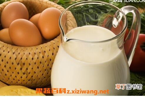 牛奶和鸡蛋能一起吃吗 牛奶和鸡蛋一起吃好不好