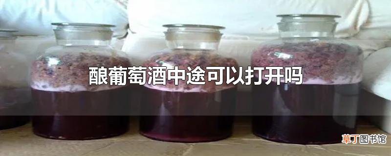 酿葡萄酒中途可以打开吗