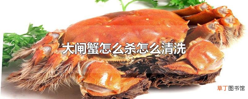 大闸蟹怎么杀怎么清洗
