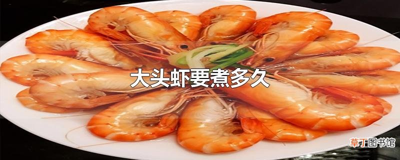 大头虾要煮多久