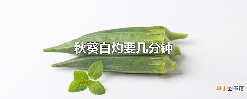 秋葵白灼要几分钟