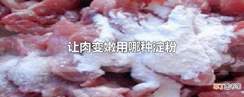让肉变嫩用哪种淀粉