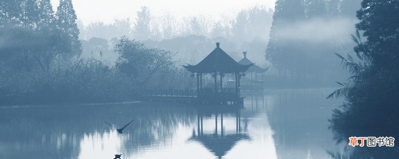 雏凤清于老凤声的哲理 桐花万里丹山路 雏凤清于老凤声的哲理