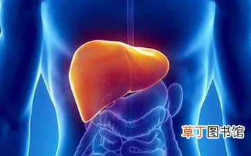 乙肝大三阳能治愈吗？-乙肝大三阳能不能治愈