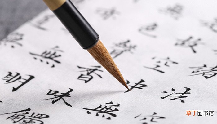 亲上加亲代表什么数字 亲上加亲代表的数字是什么