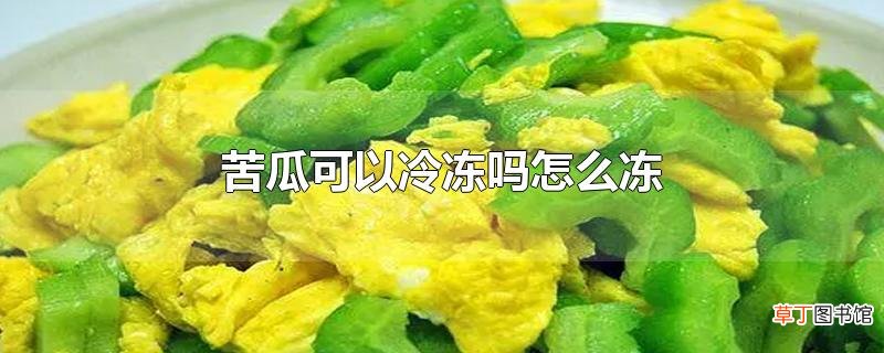 苦瓜可以冷冻吗怎么冻