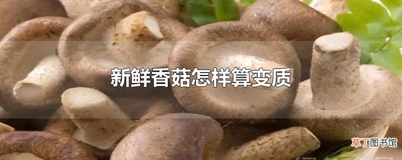 新鲜香菇怎样算变质