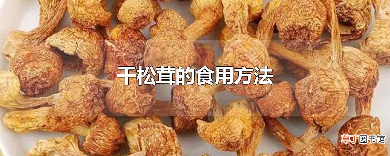 干松茸的食用方法