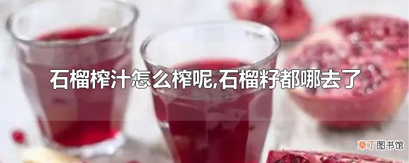 石榴榨汁怎么榨呢,石榴籽都哪去了
