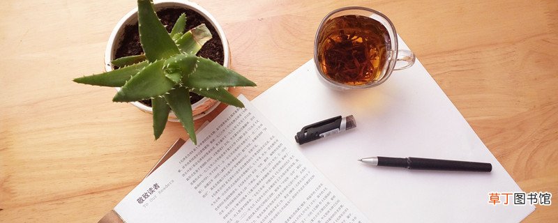 背影的中心思想 背影中心思想