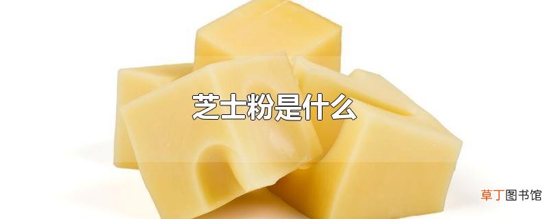 芝士粉是什么