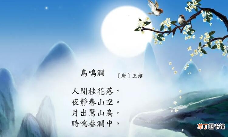 《鸟鸣涧》是一首什么体裁的诗
