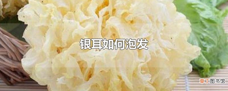 银耳怎么泡发